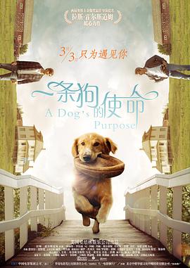 国产成人精品精品欧美